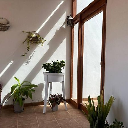 Private Villa With Pool In The Mountains Pájara المظهر الخارجي الصورة