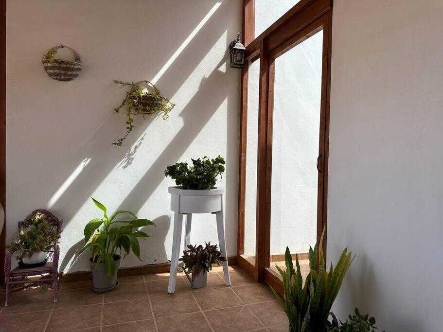 Private Villa With Pool In The Mountains Pájara المظهر الخارجي الصورة